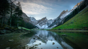 Paysages (4)