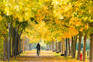 Paysages (8)