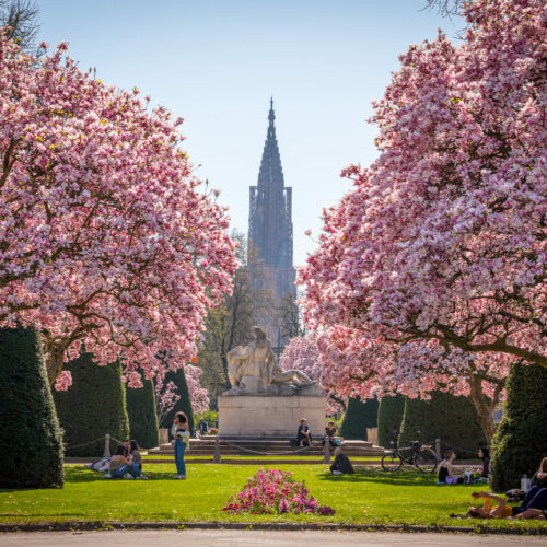 Le printemps à Strasbourg