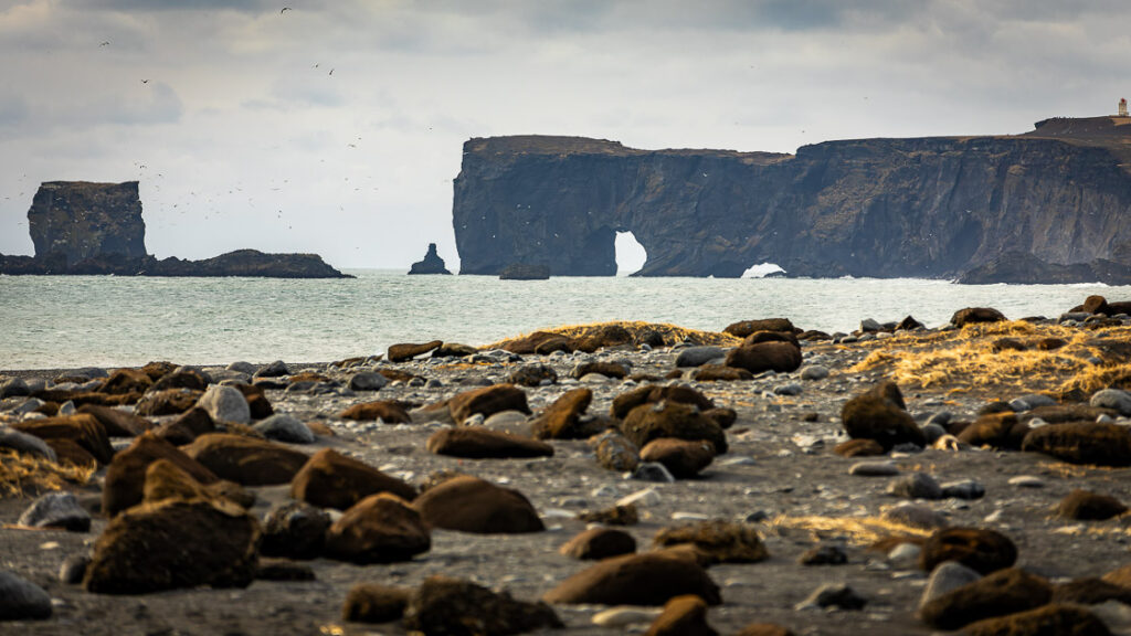 IMG_5490-CR2_DxO_DeepPRIME