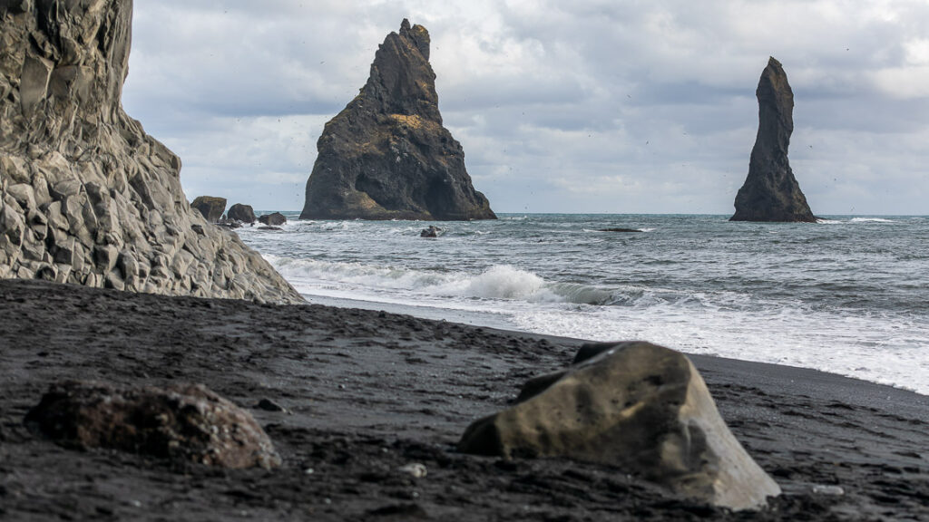 IMG_5575-CR2_DxO_DeepPRIME