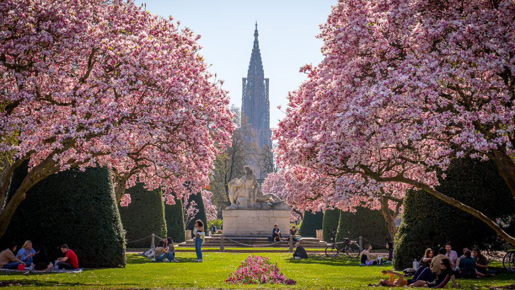 Strasbourg, composition printanière
