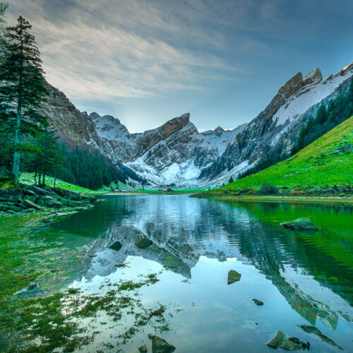 Les reflets Suisses